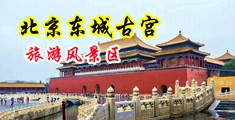 女人操屄屄视频中国北京-东城古宫旅游风景区